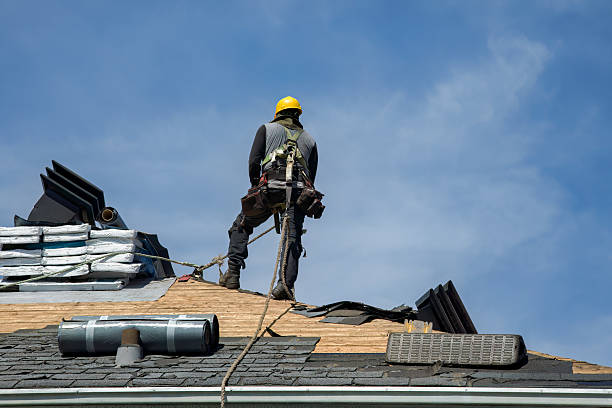 Professional Roof Replacement technician working in Herman, MN